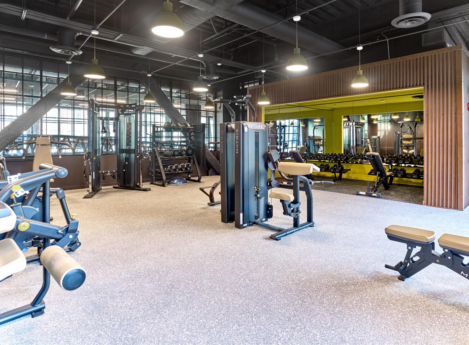 The Winston fitness center - New Haven, CT